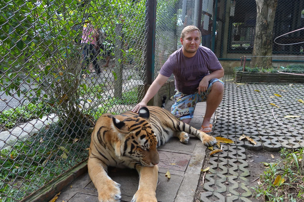 Tiger Kingdom Chiang Mai