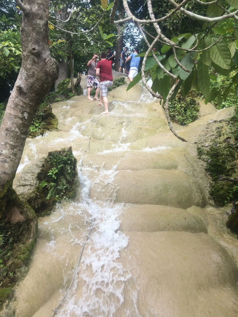 Sticky Waterfalls in Chiang Mai