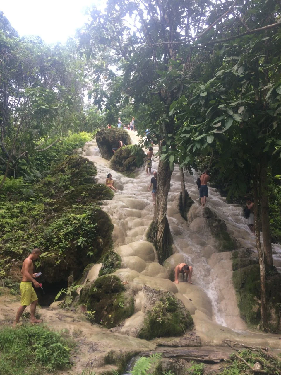 Sticky Waterfalls in Chiang Mai