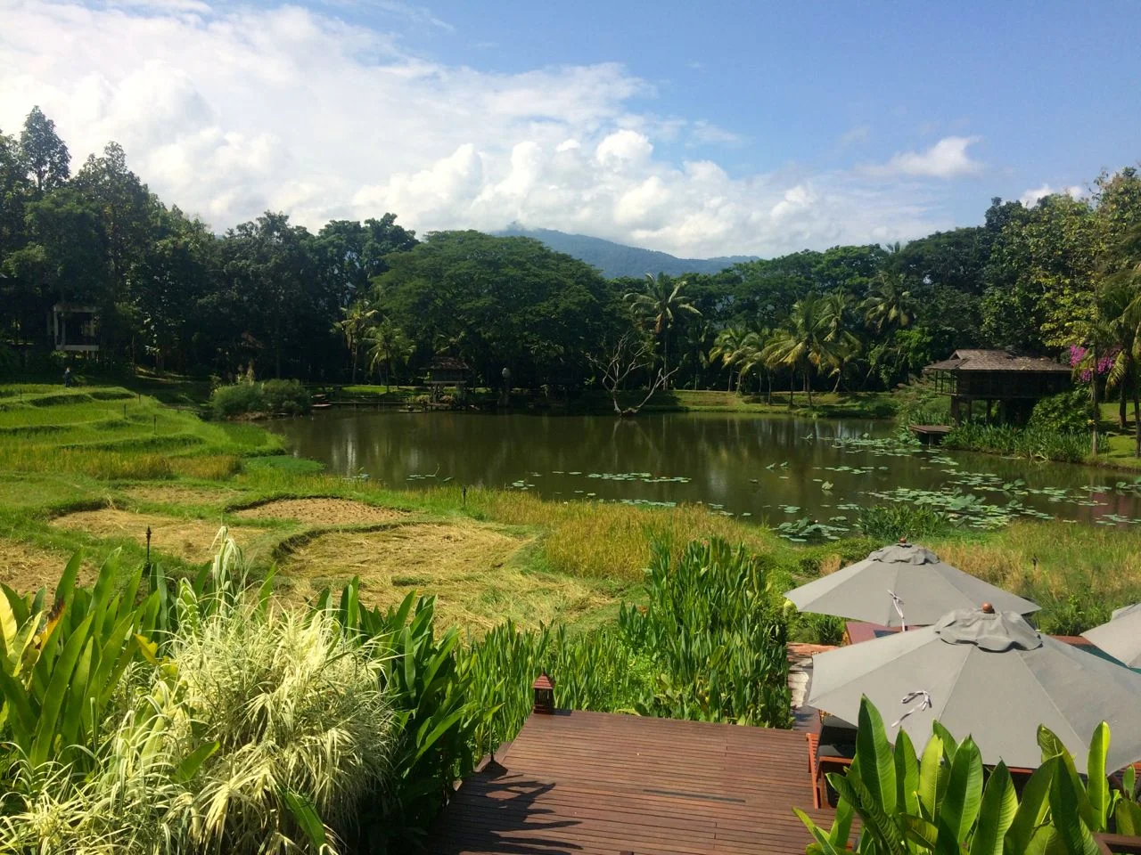 Four Seasons, Chiang Mai