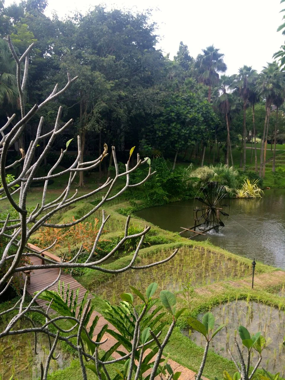 Four Seasons, Chiang Mai